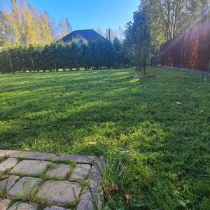 photo 2026 02 18 14 38 38 300x300 - Благоустройство территории частного дома