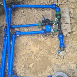 photo 2026 02 18 14 52 46 300x300 - Комплексное благоустройство частной территории, с системой дренажа и автополива